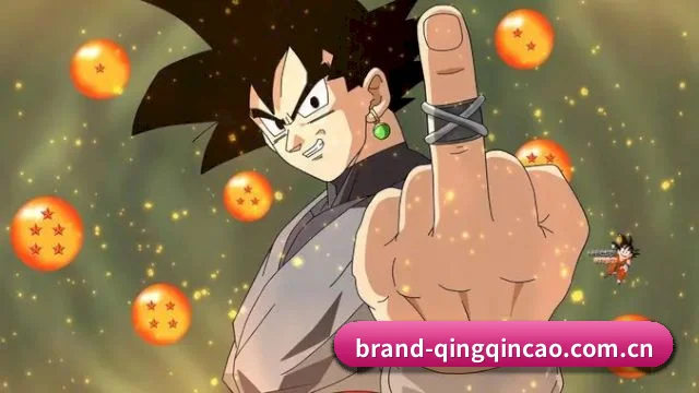 青青草网址 APP 深度功能